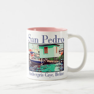 Taza Bicolor Casa barco lateral de la laguna