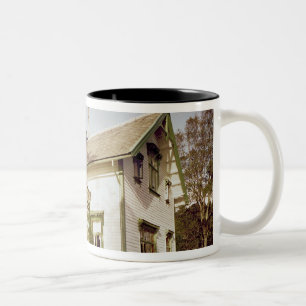 Taza Bicolor Casa de Edvard Grieg