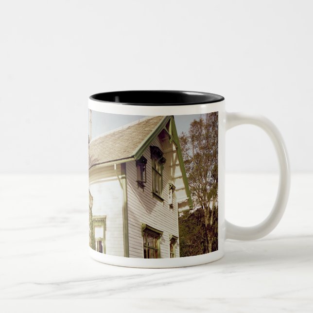 Taza Bicolor Casa de Edvard Grieg (Derecha)