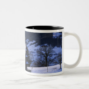 Taza Bicolor Casa de granja y Monte Rigi y Pilatus,