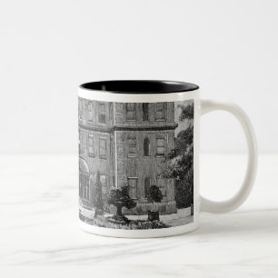 Taza Bicolor Casa de Marlborough, del jardín, 1863