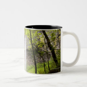 Taza Bicolor Cascada borrosa alrededor del verdor enorme en