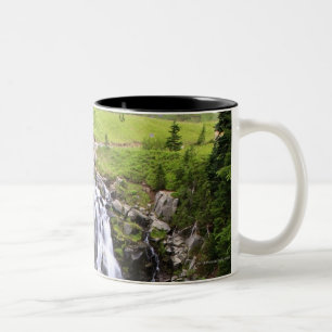 Taza Bicolor Cascada en el parque nacional del Monte Rainier