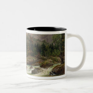 Taza Bicolor Cascada noruega, 1840