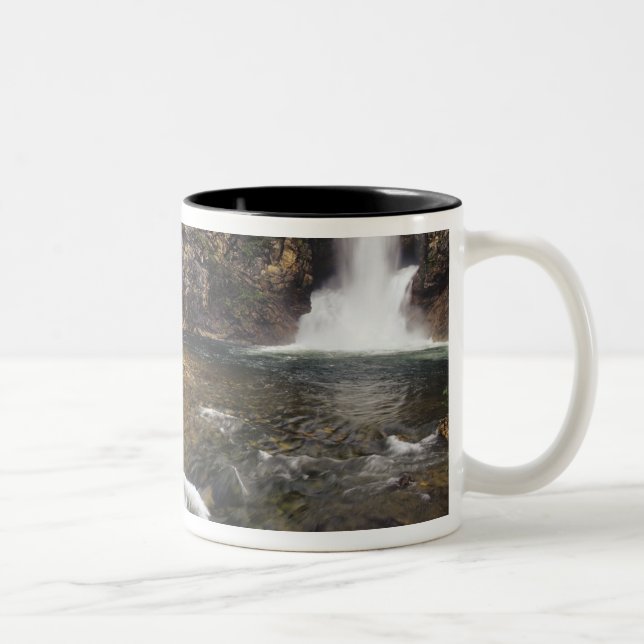 Taza Bicolor Cascada Running Eagle también conocida como Trick  (Derecha)