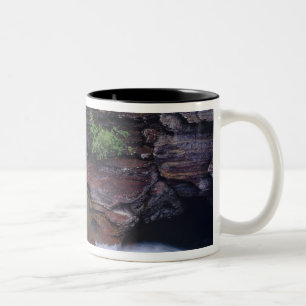 Taza Bicolor Cascada St Mary en el Parque Nacional Glaciar en