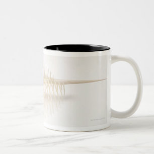 Taza Bicolor Cáscara claveteada del Murex