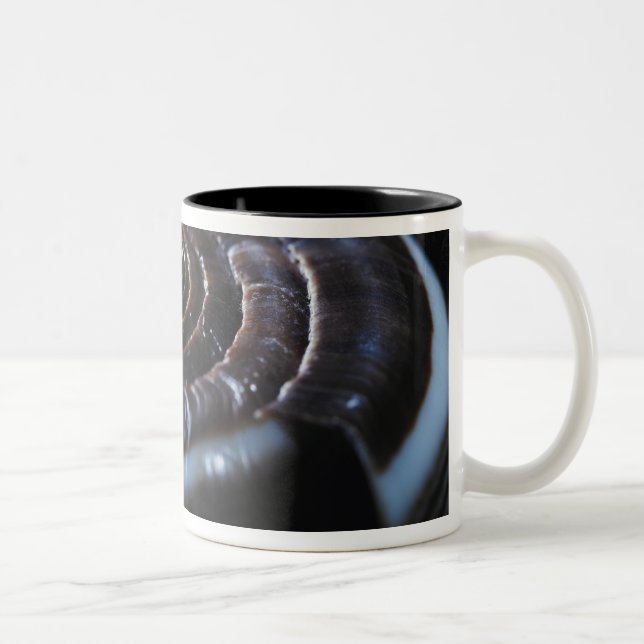 Taza Bicolor Cáscara del cono (Derecha)