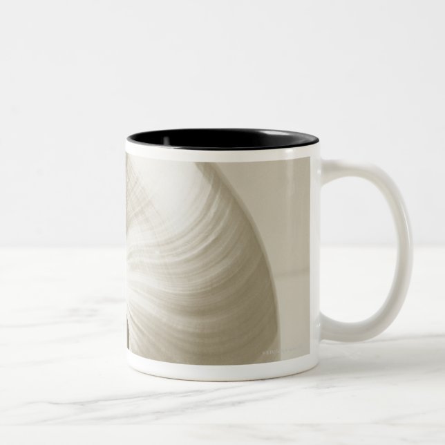 Taza Bicolor Cáscara Pearlised del mar del nautilus (Derecha)
