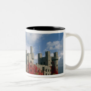 Taza Bicolor Castillo de Penrhyn, Gwynedd, Gales