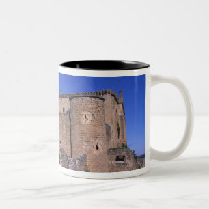 Taza Bicolor Castillo Pedraza, Castilla y León, España