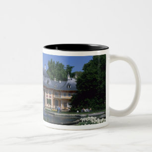 Taza Bicolor Castillo Pillnitz, Dresde, Sajonia, Alemania