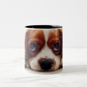 Taza Bicolor Cavalier King Charles Spaniel