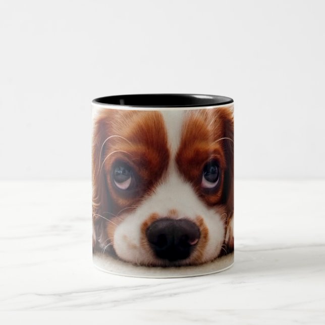 Taza Bicolor Cavalier King Charles Spaniel (Centro)