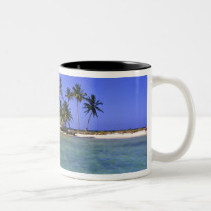 Taza Bicolor Cayo Ranguana, Belice