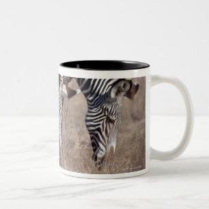 Taza Bicolor Cebra