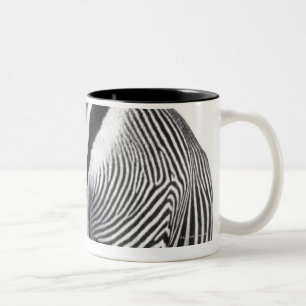Taza Bicolor cebra