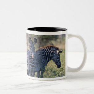Taza Bicolor Cebra 2