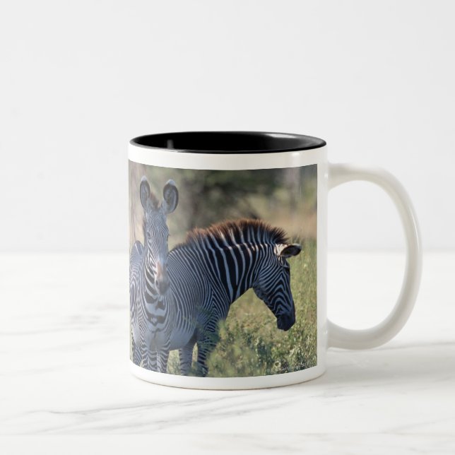 Taza Bicolor Cebra 2 (Derecha)