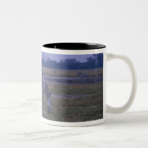Taza Bicolor Cebra 3 de Grant