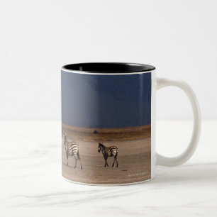 Taza Bicolor Cebra 4 de Grant