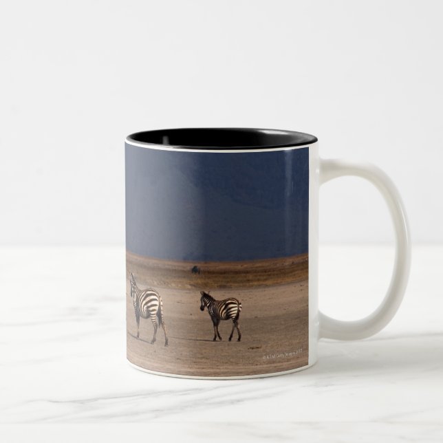 Taza Bicolor Cebra 4 de Grant (Derecha)