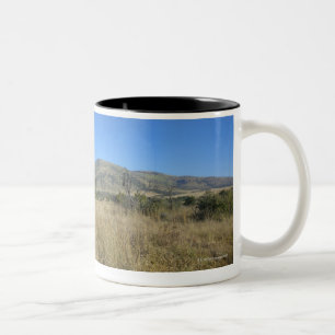 Taza Bicolor Cebra en el llano abierto, parque nacional de