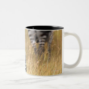 Taza Bicolor Cebras en hierba alta