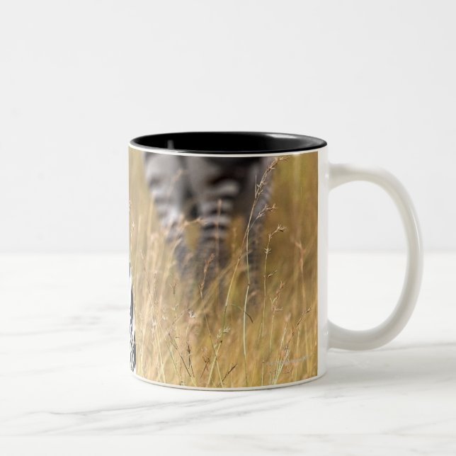 Taza Bicolor Cebras en hierba alta (Derecha)