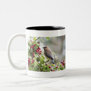 Taza Bicolor Cedar Tubo