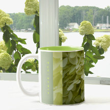Celadon Green Hydrangea Blossoms