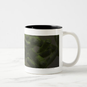 Taza Bicolor Células de la tuberculosis de micobacteria