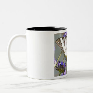 Taza Bicolor Cepa Trasera Amarilla En Flores De Lino O Negro