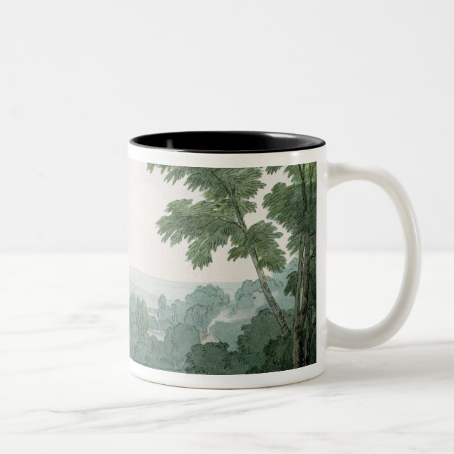 Taza Bicolor Cerca de Washfield, Devon (Derecha)