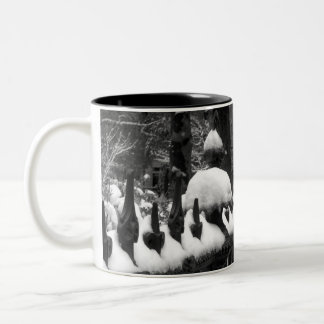 Taza Bicolor Cerca Nevado