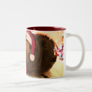 Taza Bicolor Cerdo de Guinea