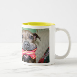 Taza Bicolor Cerdo de la clavija aka