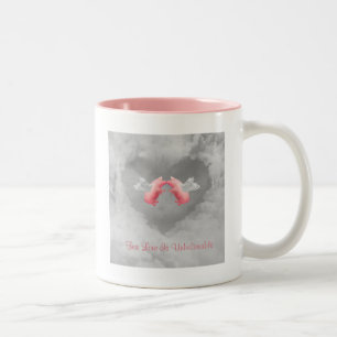 Taza Bicolor Cerdos voladores amor increíble