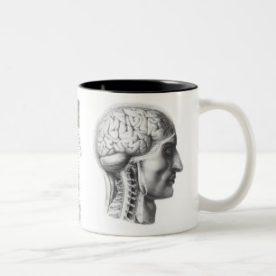 Taza Bicolor cerebro revelador