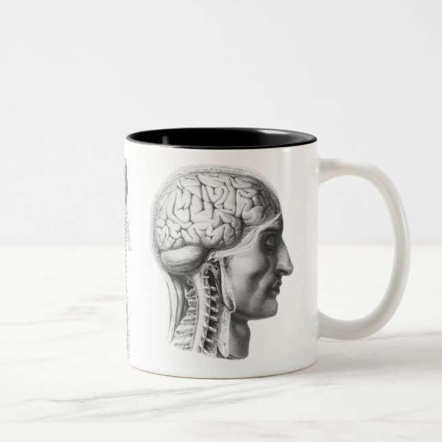 Taza Bicolor cerebro revelador (Derecha)