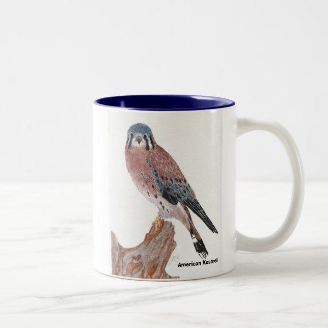 Taza Bicolor Cernícalo americano, cernícalo americano (Derecha)