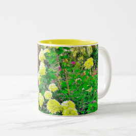 Taza Bicolor Chartreuse Green Limelight Hydrangea Garden