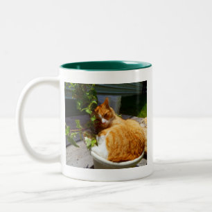 Taza Bicolor Chatarra en una olla