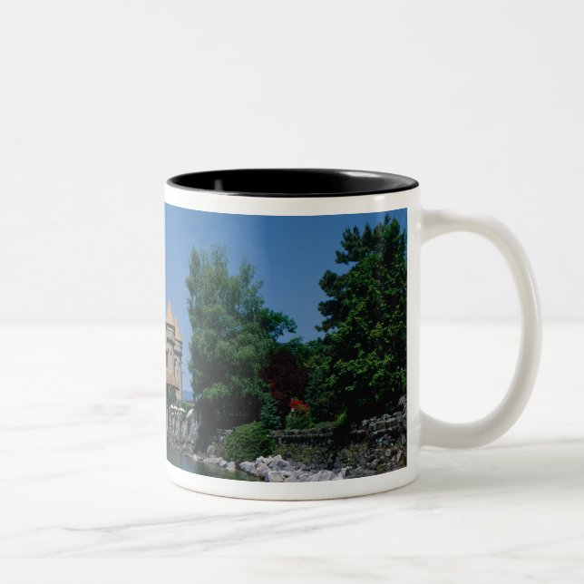 Taza Bicolor Chateau Chillon, Lago Ginebra, Cantón Vaud, (Derecha)