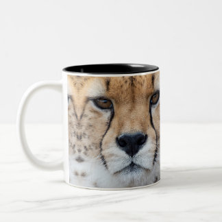 Taza Bicolor Cheetah face