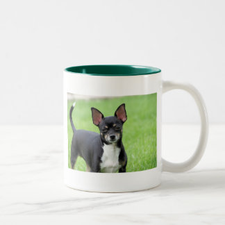 Taza Bicolor Chihuahua Isabel -13