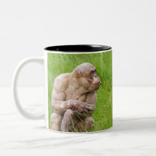 Taza Bicolor Chimpanzee sin pelo