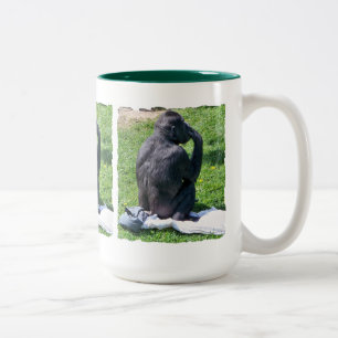 TAZA BICOLOR CHIMPANZEES