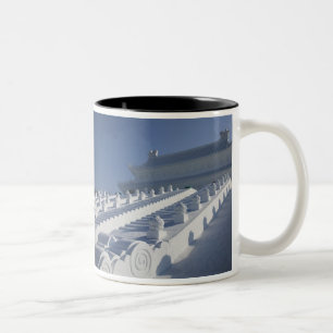 Taza Bicolor CHINA, Provincia de Heilongjiang, Haerbin (Harbin)