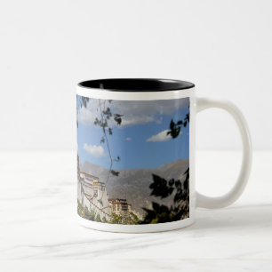 Taza Bicolor China, Tíbet, Lhasa, Palacio de Potala